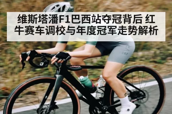 维斯塔潘F1巴西站夺冠背后 红牛赛车调校与年度冠军走势解析